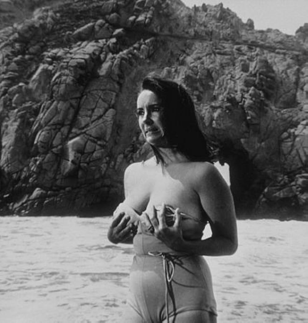 دانلود فیلم The Sandpiper 1965